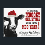 Weihnachtskuh Feiertagspostkarte<br><div class="desc">Hier ist ein niedliches Land themed Urlaub Weihnachten Mailing Postkarte für Bauern! Mit einer großen schwarz-weiß-hosteinfarbenen Milchkuh, die für die Milchproduktion bekannt ist und eine kräftig rot-weiße, flauschige Weihnachtsmannmütze auf dem Kopf trägt. Country Western Roter Text mit zwei Kuh-Kanonen, um Ihren Freunden und der Familie ein fröhliches Weihnachtsfest und ein...</div>
