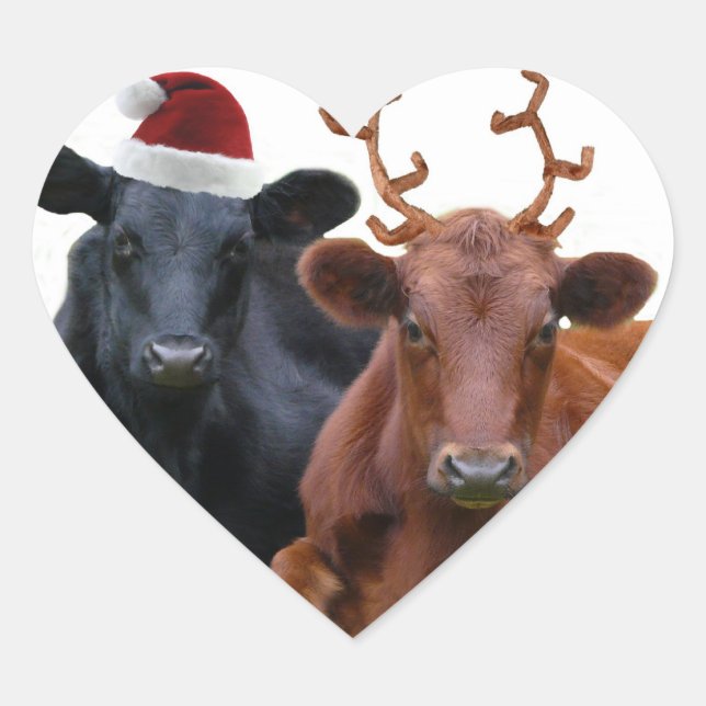 Weihnachtskühe in Weihnachtsmannmütze und Antler Herz-Aufkleber (Vorderseite)