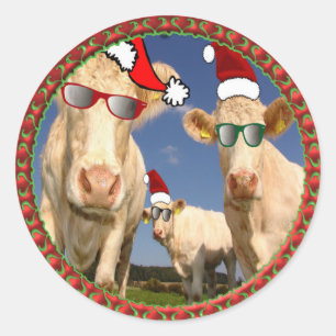 Weihnachtskühe mit Gläsern an und roten Runder Aufkleber