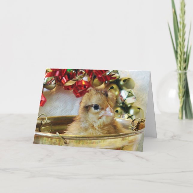Weihnachtsküken Feiertagskarte (Vorderseite)