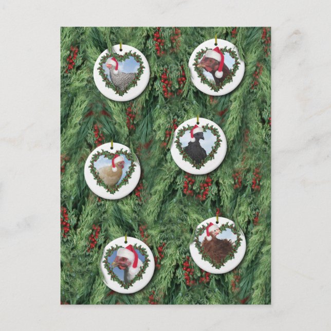 Weihnachtsküken Postkarte (Vorderseite)