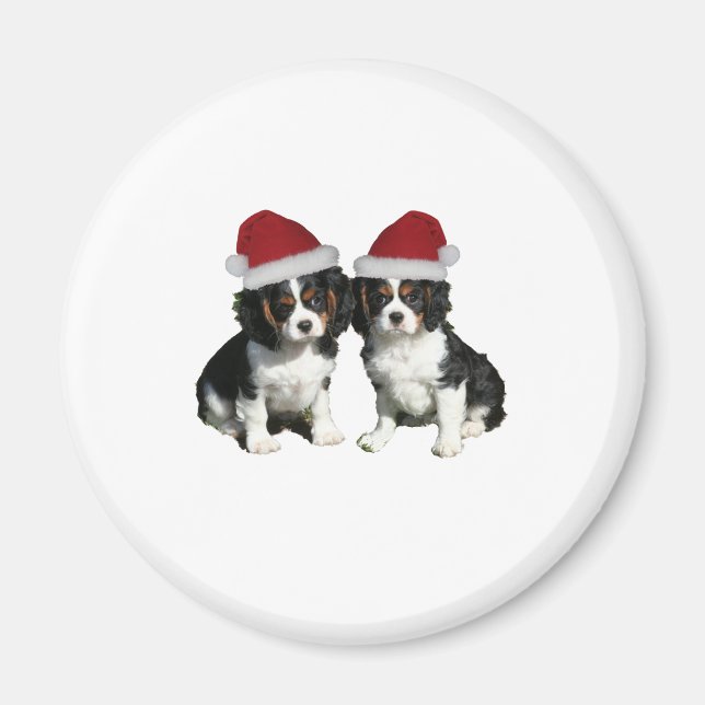 Weihnachtskvaliers Magnet (Vorne)