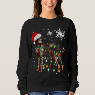 Weihnachtslicht Bluetick Coonhound Hund Sweatshirt