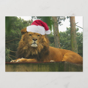 Weihnachtslied Weihnachtsmannmütze Einladung