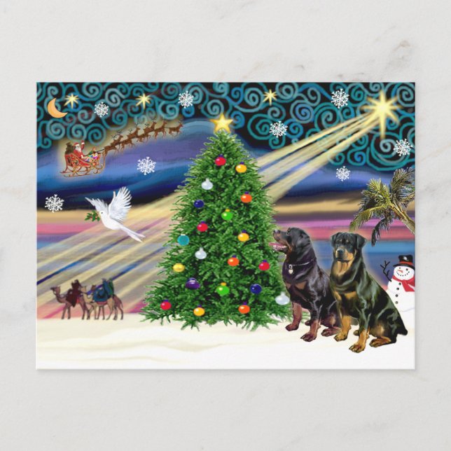 Weihnachtsmagie Rottweilers (zwei) Feiertagspostkarte (Vorderseite)