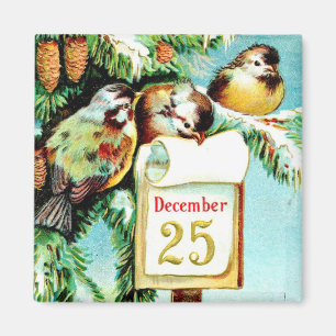Weihnachtsmagnet Vögel feiern Weihnachten Magnet