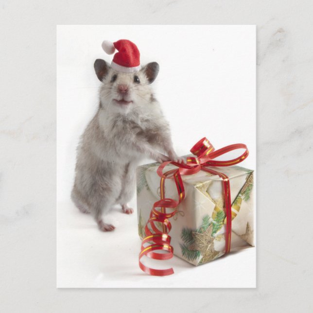 Weihnachtsmann-Hamster mit Geschenk Feiertagspostkarte (Vorderseite)