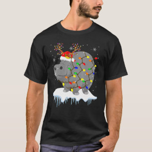 Weihnachtsmann Rentier Nilpferd Weihnachtslicht We T-Shirt
