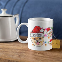 Weihnachtsmann Spitz Haustier Hundekopf