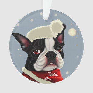 Weihnachtsmann, Weihnachten, Hundeverzierung Ornament