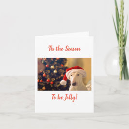 Weihnachtsmannmütze Bull Terrier, das ist die Jahr Karte