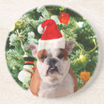 Weihnachtsmannmütze Bulldog Christmas Tree Snowman Sandstein Untersetzer<br><div class="desc">Niedliches Bulldog Foto mit der Weihnachtsbaum Snowman Geschenkboxen im Hintergrund. Ein perfektes Geschenk für Weihnachten!</div>