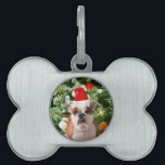 Weihnachtsmannmütze Bulldog Christmas Tree Snowman Tiermarke<br><div class="desc">Niedliches Bulldog Foto mit der Weihnachtsbaum Snowman Geschenkboxen im Hintergrund. Ein perfektes Geschenk für Weihnachten!</div>