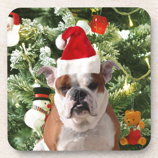 Weihnachtsmannmütze Bulldog Christmas Tree Snowman Untersetzer (Vorderseite)
