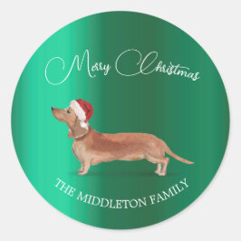 Weihnachtsmannmütze Dog Tan Dackel Grün Frohe Weih Runder Aufkleber