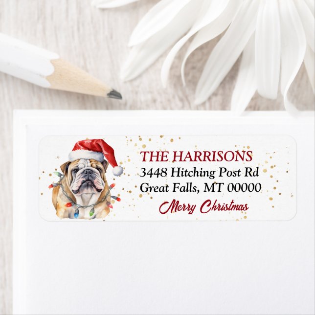 Weihnachtsmannmütze English Bulldog Christmas (Insitu)
