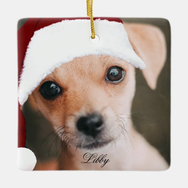 Weihnachtsmannmütze für Heimtiere Foto benutzerdef Keramikornament (Vorderseite)