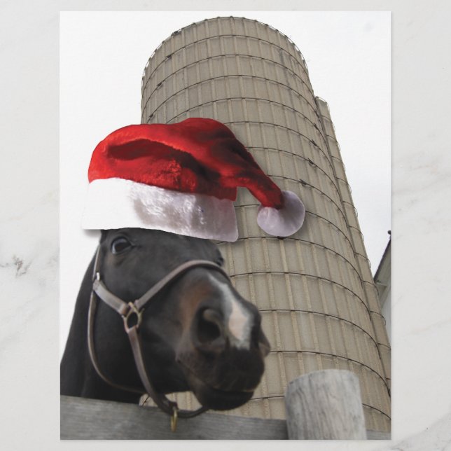 Weihnachtsmannmütze Horsey (Vorderseite)
