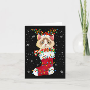 Weihnachtsmannmütze Ragdoll Katze in Socken Xmas T Karte