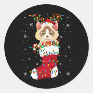 Weihnachtsmannmütze Ragdoll Katze in Socken Xmas T Runder Aufkleber