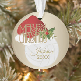Weihnachtsmannmütze 🏐 Volleyball | DIY Name Ornament