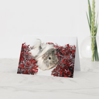 Weihnachtsmeerschweinchen Feiertagskarte