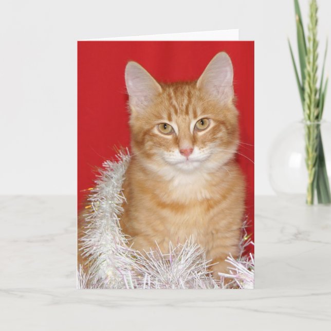 WeihnachtsMiezekatze Feiertagskarte (Vorderseite)