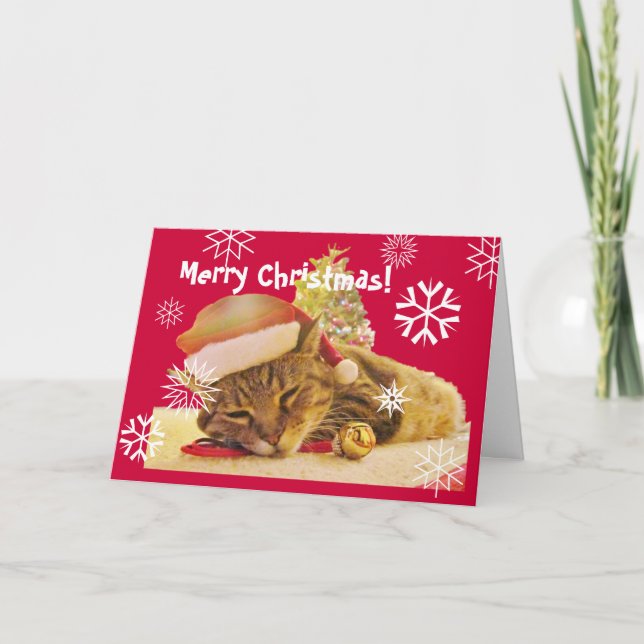 WeihnachtsMiezekatze Feiertagskarte (Vorderseite)