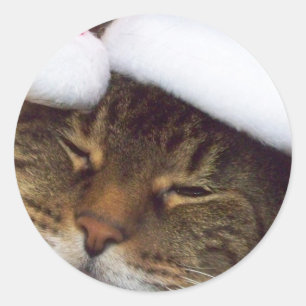 WeihnachtsMiezekatzeaufkleber Runder Aufkleber
