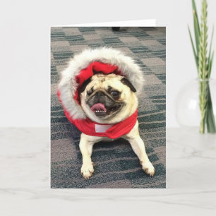 WeihnachtsMops Feiertagskarte