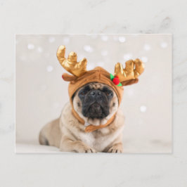 WeihnachtsMops Feiertagspostkarte