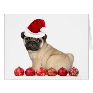 WeihnachtsMopshund