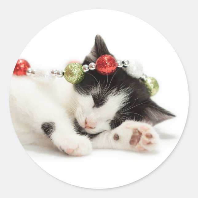 Weihnachtsmorgen Kitten Runder Aufkleber (Vorderseite)