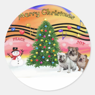 Weihnachtsmusik 2 - Englische Bulldoggen (drei) Runder Aufkleber