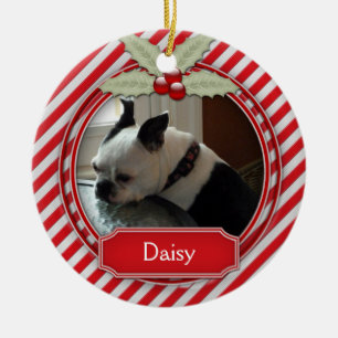 Weihnachtsornament Candy Cane Streifen Stechpalme