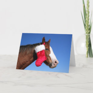 Weihnachtspferd Feiertagskarte