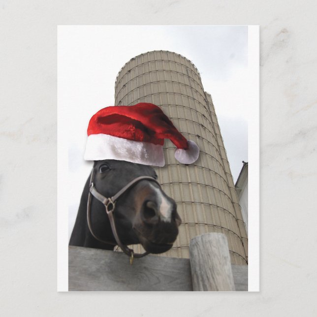 Weihnachtspferd Feiertagspostkarte (Vorderseite)