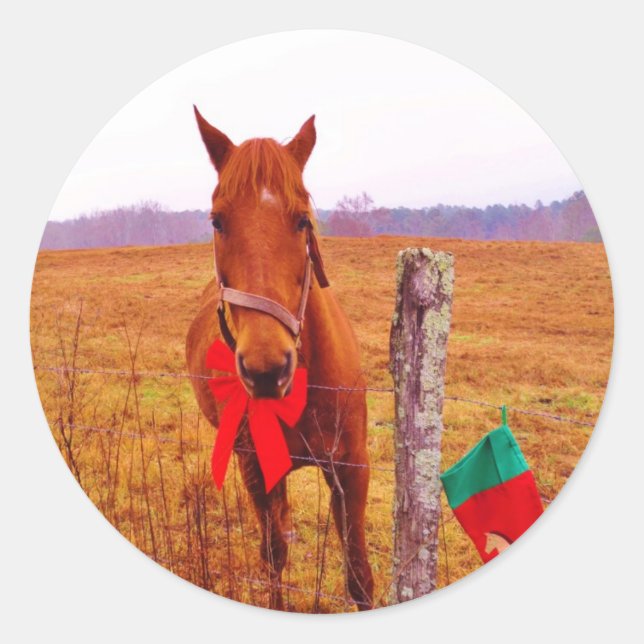 Weihnachtspferd mit Bogen & Strumpf Runder Aufkleber (Vorderseite)