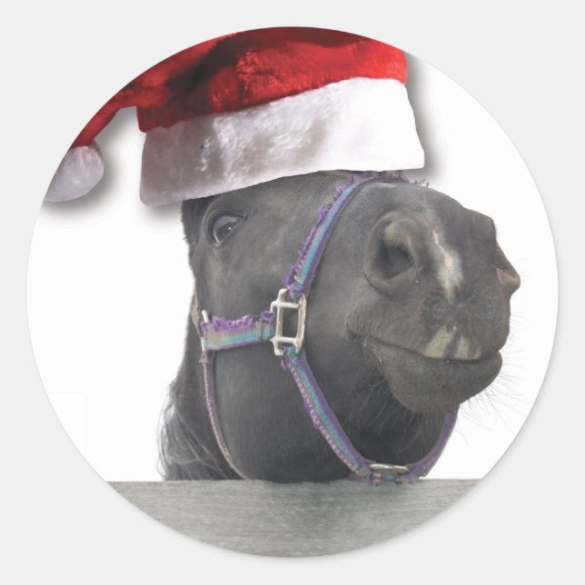 Weihnachtspferd Weihnachtsmannmütze Runder Aufkleber (Vorderseite)
