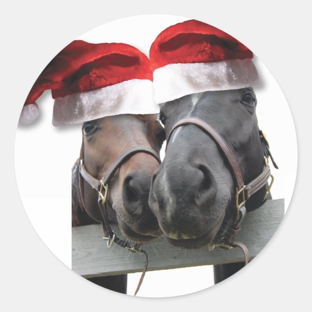Weihnachtspferde mit Weihnachtsmannmützen Runder Aufkleber (Vorderseite)