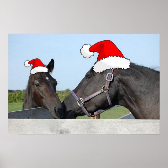 Weihnachtspferde Poster (Vorne)