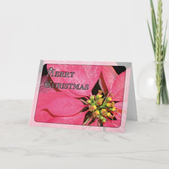 Weihnachtspoinsettia Feiertagskarte (Vorderseite)