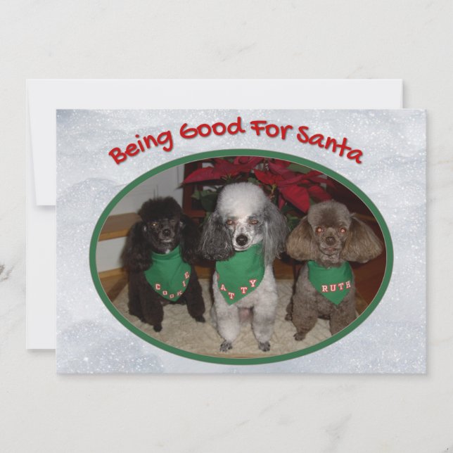 Weihnachtspoodles sind gut für Weihnachten (Vorderseite)