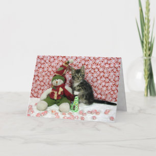 Weihnachtsportrait von Bandit - Katze / Kitten Feiertagskarte