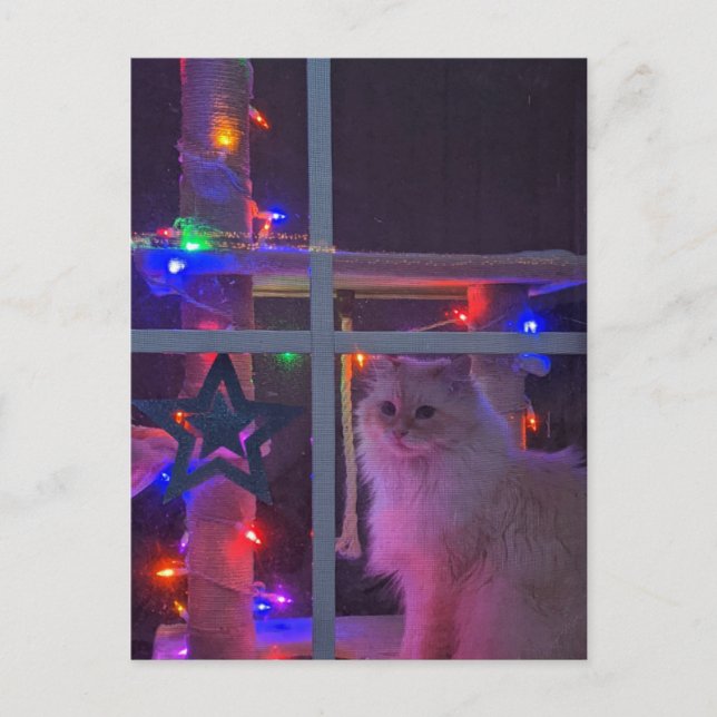 Weihnachtspostkarte Postkarte (Vorderseite)