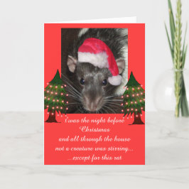 Weihnachtsratten Feiertagskarte