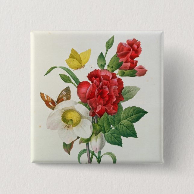 WeihnachtsRose, Helleborus Niger Button (Vorderseite)