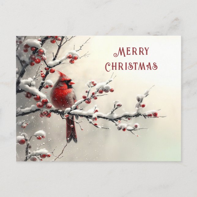 Weihnachtsroter Kardinal-Feiertag Postkarte (Vorderseite)