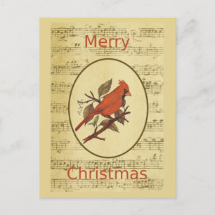 Weihnachtsroter Vogel Kardinalmusik Feiertagspostkarte