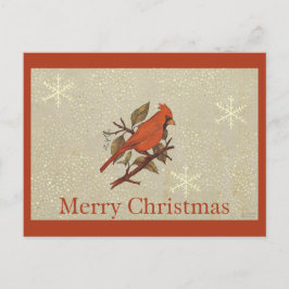 Weihnachtsroter Vogel-Kardinals-Schnee Feiertagspostkarte